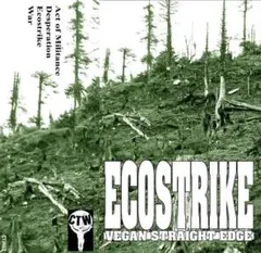 Ecostrike – Ecostrike nyhc metalcore