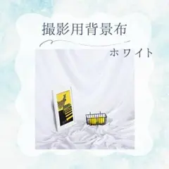 Item thumbnail for item 73b482ad-0205-4ef5-847a-0dff0e0bbd0a