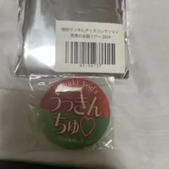 与田祐希 うっきんちゅ 缶バッジ
