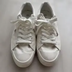 spectupsshoeco