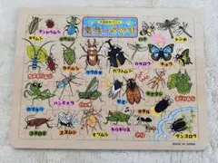 木製昆虫パズル 昆虫のなかま