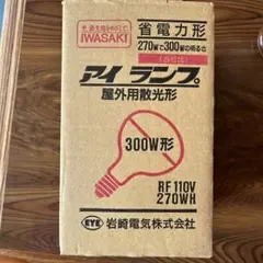 岩崎電気屋外投光用ランプ　RF110V270WH