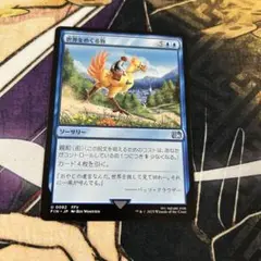 MTG / 世界をめぐる旅