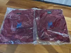 ファジアーノ岡山来場記念Tシャツ　オリジナルクールTシャツ　2枚セット