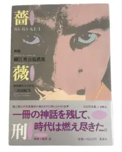 2025年最新】薔薇刑 細江英公の人気アイテム - メルカリ