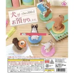 ※リーフレット1枚のみ※ ガチャ 犬がお預かりします 【全5種コンプセット】