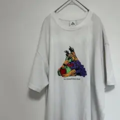 NIKE ACG Fruit and Veggies T-shirt 3XL