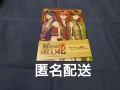 越えざるは紅い花　大河は未来を紡ぐ　ステラワース　ショートストーリー　小冊子