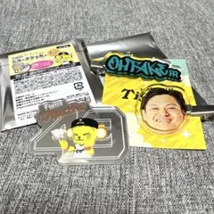阪神タイガース 大竹耕太郎 シークレット ヘアクリップ ミラーステッカー