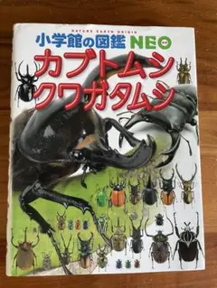 小学館の図鑑NEO　カブトムシ・クワガタムシ