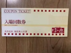 天然温泉 越前美人の湯 ゆけむり温泉ゆー遊回数券10枚