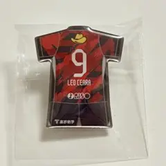 鹿島アントラーズ 25 プレイヤーズ ピンバッジ レオセアラ