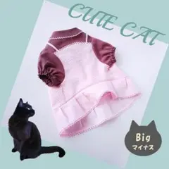 Item thumbnail for item ebc99581-ef3d-459d-9bc0-12aef890a567