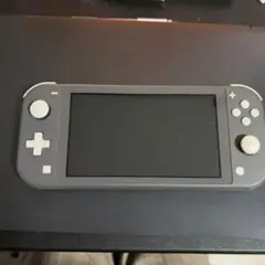 Nintendo Switch Lite グレー 本体
