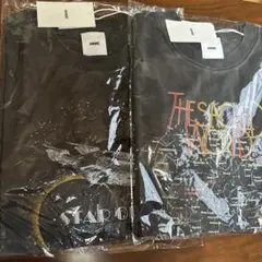 ANME Tシャツ 2枚セット M 専用