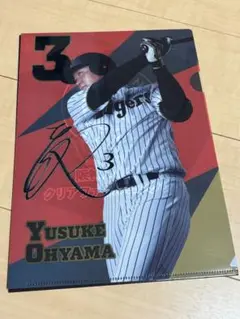 阪神タイガース　クリアファイル　大山悠輔