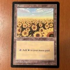 m50336750023_1.jpg?1728645925