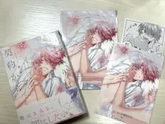 はじまりは契約から コミコミ特典付き