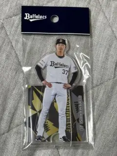 オリックスバファローズ 石川亮 2024 アクリルスタンド
