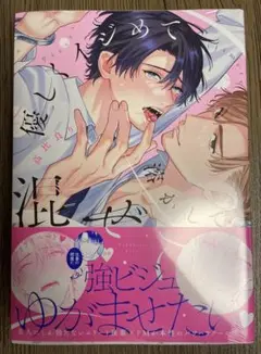 優しくイジめて溶かして混ぜて 高比良りと 初版未読