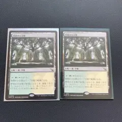 MTG 草萌ゆる玄関　2枚