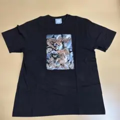 【送料無料】 アキバ感電デンキ Dragon Knight4 プリントTシャツ