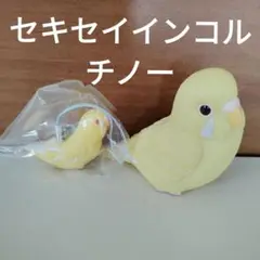 セキセイインコルチノー てのりフレンズ４ インコストラップ