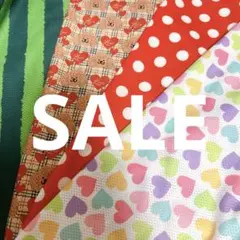 限定SALE 4枚セット　メッシュ生地