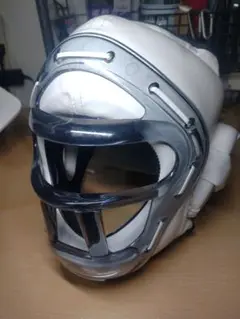 ヘッドガード イサミ TT-300 Lサイズ