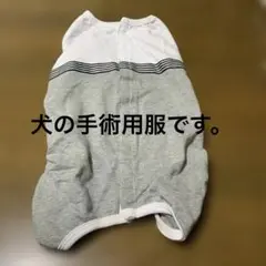 Item thumbnail for item ae331822-b507-4b5e-bf8b-700e62cd80bd