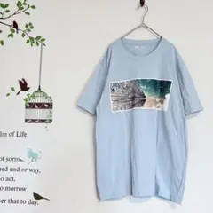 ユニクロ /竜とそばかすの姫 Tシャツ UT メンズXL