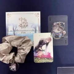 韓国 悪役のエンディングは死のみ カフェ エクルス シュシュ トレカ カード