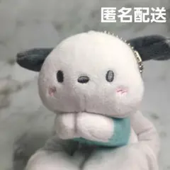 ポチャッコ　ぬいぐるみ　マスコット【訳あり】サンリオ　匿名配送