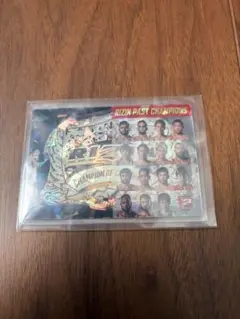 RIZINポテトスティック　シークレット