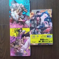 中原一也BL小説三冊セット