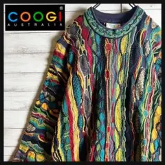 【激レア】coogi クージー 立体 編込み 3Dニット 即完売モデル 希少