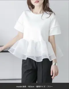 SUGAR BISKET シュガービスケット　シアーフリルドッキングトップス