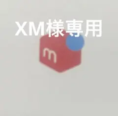 専用