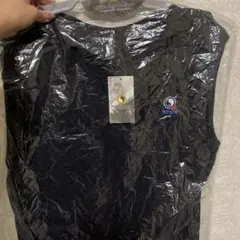 Item thumbnail for item 6e0de606-1566-401a-8b6f-9c1be19b29d6