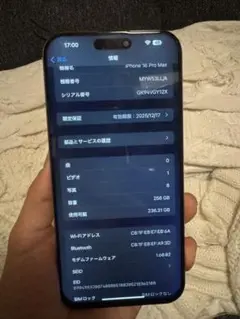 Apple iPhone 16 Pro Max 256GB，バッテリーは100％