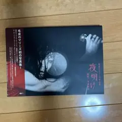 毛皮のマリーズ 写真集 『夜明け』 CDジャーナルムック 毛皮のマリーズ写真集『夜明け』 撮影:有賀