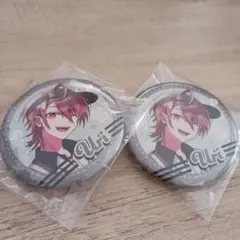 カラフルピーチ　ダイナー　うり　2個セット