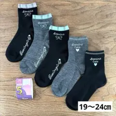 Item thumbnail for item b1078876-63db-4ce8-b1c3-100ab51fcbb4