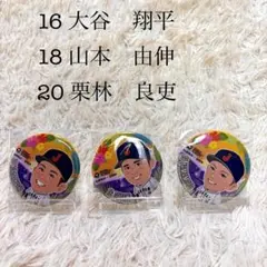 【レア】WBC 宮崎キャンプ　缶バッチ　3点セット
