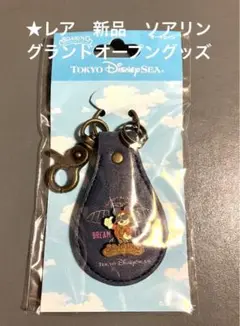 【レア】ディズニーシー (TDS) ソアリン グランドオープン記念 キーチェーン