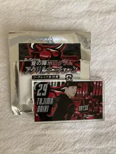 オリックス　田嶋大樹　夏の陣　アクリルキーチェーン