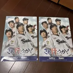 匿名発送☆クリアファイル2枚セット2023ヤクルトスワローズ