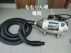 ⭐️キンペックス ドラゴンペッカリーほぼ新品⭐️ Amazon | キンペックス ドラゴンペッカリー スタンダードホース