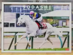 競馬.ソダシ.パネル.競馬ブック.限定予約ポスター