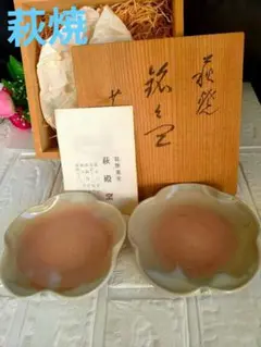 萩焼5枚 萩殿窯 未使用品 木箱入り 茶人
